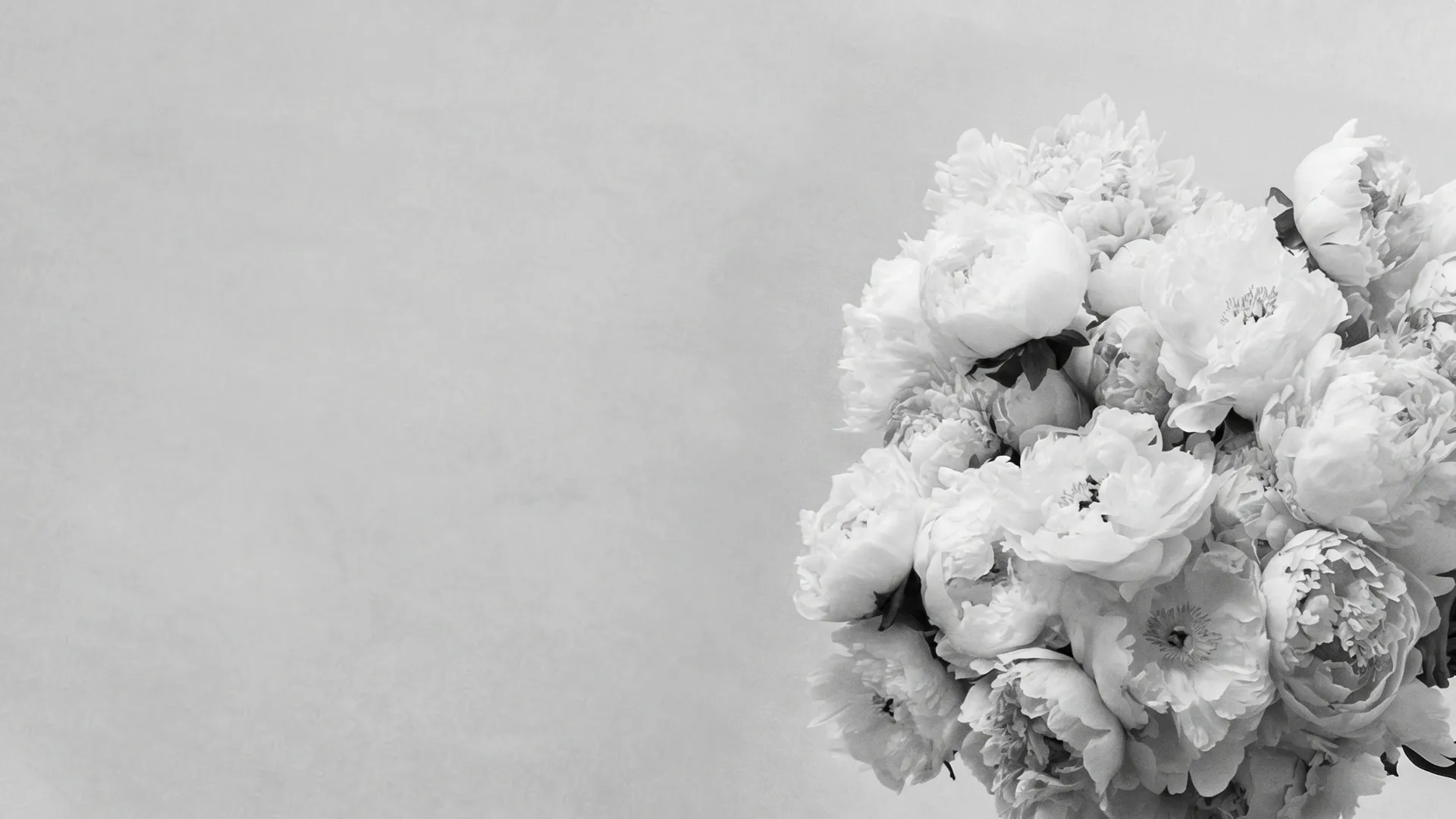 Fondo floral